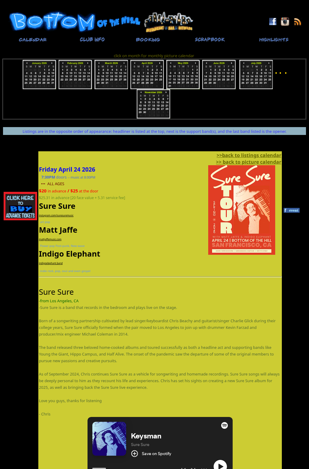 Sure Sure ~ Matt Jaffe ~ Indigo Elephant